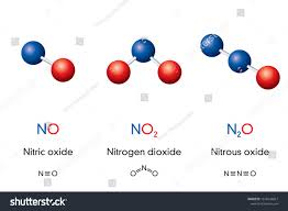 Nitric Oxide